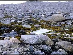 The Best Masiela Lusha Movies