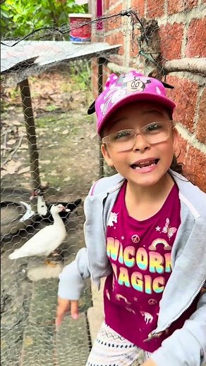 When you have some ducks as pets🤣