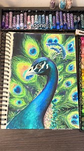 Oil pastel peacock drawing — full-page oil pastel art