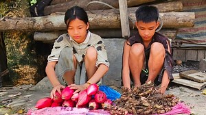 Homeless boy and poor girl picking banana flowers to sell and buy new clothes Homeless Boy | Poor Boy
