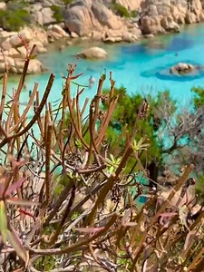 1.9K views · 238 reactions | Cala Coticcio, isla de Caprera, Italia | Adventure | Facebook