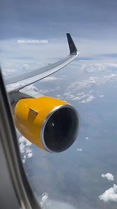 314K views · 2.5K reactions | Hello guys A sunny reel for Condor...