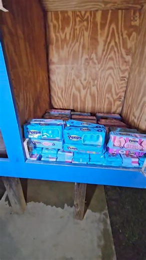 Dumpster diving! This is crazy! Candy Jackpot look at this AndyFam!!! #reels #viral #dumpsterdiving | OMG Andy