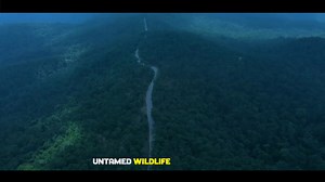 2.6K views · 47 reactions | Amazing Jharkhand: A paradise where nature reigns supreme, with dense forests, flowing rivers, and hills that echo the rhythm of life. A sanctuary of tranquility, beauty, and untamed splendor. #NatureAtItsBest #VisitJharkhand | Jharkhand Tourism | Facebook