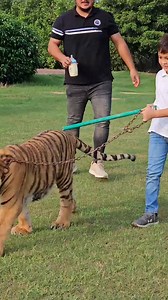 3.7K views · 92 reactions | Tiger_in_Chain__Azan_Butt_Tiger___#youtubeshorts_#tiger#comedy #funny #memes #funnymemes #meme #lol #love #humor #fun #dankmemes #tiktok #memesdaily #instagram #follow #funnyvideos #like #lmao #jokes #instagood #viral #dank #dailymemes #laugh #explorepage #trending #edgymemes #comedian #memepage #offensivememes #music #explorepage #offensivememes #dailymemes #memes #memesdaily | Tiger power | Facebook
