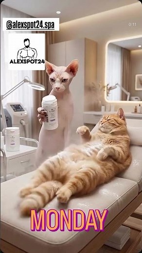 ALEXSPOT24 Men’s Hair Removal & Massage Spa | Miami Brickell & Manhattan NYC 🔥