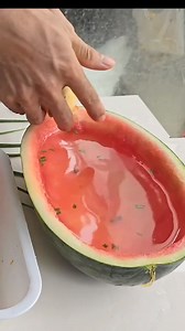 #pet #ridereeallegria @fan più attivi | Ridere e allegria