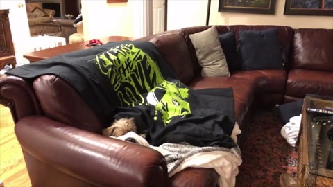 PUPPYS FIRST BATH WITH STEPHEN SHARER & LIZZY SHARER (CUTEST PUPPY SHOWER 🐶💦)