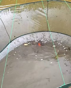 Best fishing net ever 😲 | Simple ideas