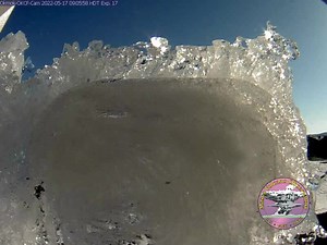 42 reactions | Alaska Volcano Observatory on Reels | Facebook