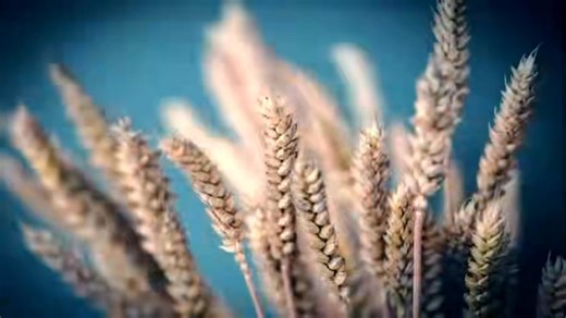 “Cuba te necesita”. Desde hace varios días está circulando esta canción en los grupos de Whatsapp. La letra la hizo un poeta cubano que prefiere mantener el anonimato y la música luego se realizó con Inteligencia Artificial. Ahora la comparto en formato de video, el que editara un masón de nombre Carlos Gavilondo. Es un grito desesperado de libertad y justicia para la Gran Logia de Cuba y para el país.Letra “Cuba te necesita”.(Verso 1)Desde siempre fue el sitiopara ser bueno y mejor...y el hombr