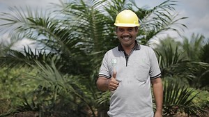 Kisah Tulus, Petani Kelapa Sawit Indonesia - Asian Agri