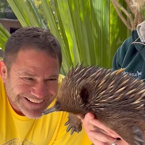 222 reactions · 11 shares | 麗 BRISBANE join me bringing marine dreams to life at QPAC Concert Hall on January 13th. | Steve Backshall | Facebook