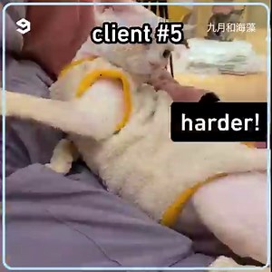 do cats like butt-bongo? let's find out. | 9GAG Aww