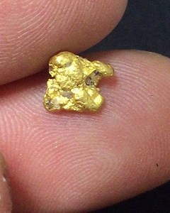 (Sold ) Pretty Little Natural Australian Gold Nugget, Locale, Nuggety Gully Tarnagulla CVGF. Size 9x8x3mm . Weight 1.3 Grams Price AU$75 inc Tracked Express Post Shipping (Australia Only) Elsewhere Actual Shipping Costs Apply, PayPal Payment Preferred or Direct Bank Deposit (Australia Only) Comment Sold or DM for Further Details #australiancrystals #gold #nugget #detecting #mineralspecimen #photography #filmphotography #outdoors #adventure #rockhound #rockgeek #prospecting #addicted #downunderpr