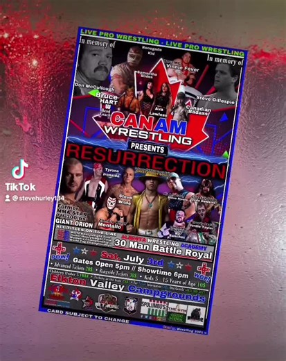 Steve Wilde on TikTok