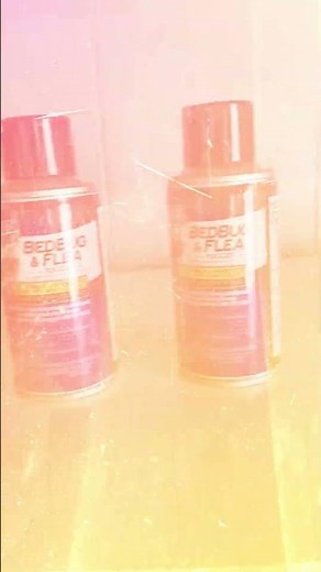 Hot Shot to the Rescue BED BUG FOGGER Review!