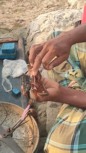 5.1K views · 18 reactions | One Leg Mud Crab Tieing with Rope. #mudcrab #tie #rope #oneleg | True Fishing BD | Facebook