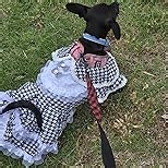 Dog Princess Dress,Dog Clothes Girl Puppy Shirt Yorkie Clothes Cute Puppy Summer Outfits_XS(Shirt)