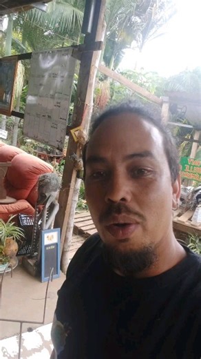 75 reactions · 5 comments | Zazalé dann Gayar Festival | QG Zazalé | Facebook