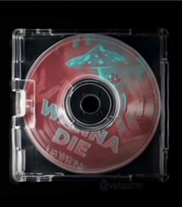 Miss Wannadie Song Lyrics - Have You Tried Crossing Over?