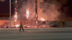 14K views · 61 reactions | A tree fire was reported at the intersection of Palm Vista and Avenue J-8 at 11:15pm Friday night. It caused an estimated $1,000 to $1,500 in damage | AV Scanner News - Page | Facebook