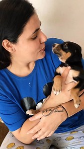 133K views · 14K reactions | Support at 8826257357 ramneek1517@dbs ...