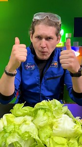 Easy cabbage core removal! | Awesome