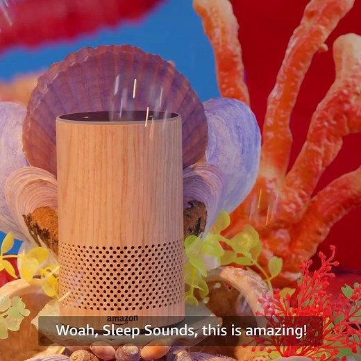 148K views · 993 reactions | Find thousands of skills in the Alexa app - or just ask Alexa - and start personalizing your Echo experience today with sleeps sounds, games, workouts and more. | Amazon.com | Facebook