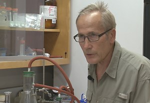 Shell  Key could be in environmental stress