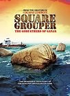 Square Grouper (2011) – Films – OutNow