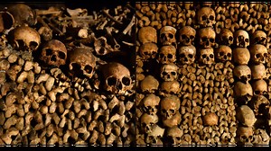 Read the history behind why six millions skeletons are stuffed in the Paris Catacombs