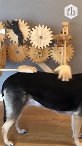 23K views · 41 reactions | There is nothing wrong with spoiling your dog. #dogs #backscratch #pets #invention #viralvideo | Family Handyman | Facebook