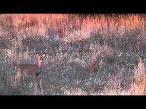 Outback Outdoors - Outback Outdoors