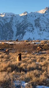 664 reactions · 57 shares | The mild winter we are experiencing has...