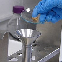 Video: Extraction of Organochlorine Pesticides from Plastic Pellets and Plastic Type Analysis