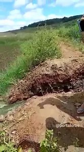 1.4M views · 889 reactions | Nesta quinta-feira (11/06), por volta...