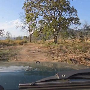 4.4K views · 56 reactions | Most Beautiful Zone In Corbett Dhikala Zone | Jim Corbett National Park Jungle Safari #fall2025collection #postviralシ #highlightseveryonefollowers2025 #videoreelsシ #videoviralシ #viralpost2025 #viralpost2025シ #facebookpostシ #highlights2024 #viewersfriendsfollowersnonfollowers #jimcorbettnationalpark #dhikalacorbett Sam Siyah | Jim Corbett Wildlife & Nature View | Facebook