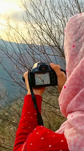 71 reactions | Golden Hours  Photographing Woodpecker #woodpecker #sunset #goldenhours #ayoubnayiak #sun #nature #trending #instagoods #reel | Ayoub Nayiak Wildlife Photographer | Facebook