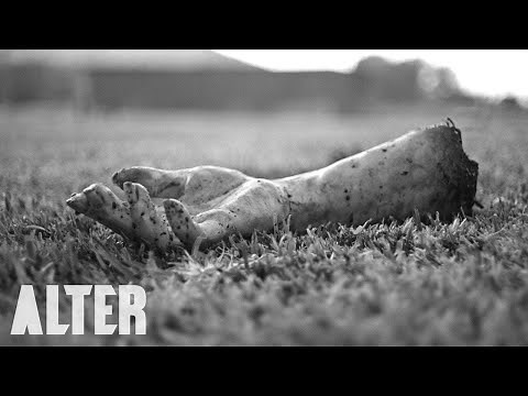 Horror Short Film "The Vicious" | ALTER
