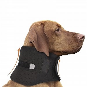 [Hot Item] Wholesale Waterproof Pet Collar Adjustable Dog Neck Brace for Dog After Surgery