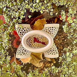 Amazon.com : Aquarium Floating Betta Fish Log, Hide Tunnel and Hammock Toy, Small Fish Or Shrimp Hide Resting Cave, Floating Feeder, Feeding Ring, Tank Accessories Decoration. (Translucent) : Pet Supplies
