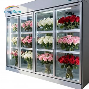 [Hot Item] Flower Fridge Walk in Cooler Display Glass Door Cold Room
