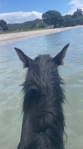 3.7K views · 40 reactions | Brookby Heights International on Reels | Facebook