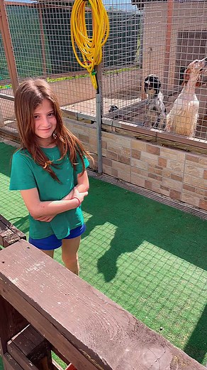 L’amore di zio….i nostri splendidi Setter….e il guardiano del canile 🕊️ #allevamentodellafatasibilla #setteringlesibyfrancescoallegrucci #sibillahungsolutions #setter #englishsetter #setteringlese #breeding #setterofinstagram #hunterxhunter #cacciapassione #passionecaccia #breeding #breeders #manchitu❤️ #amazing #photooftheday #instagramers #huntinglife #natrura #wildlife #allevamento #nipotinamia❤️ | Alessio Allegrucci