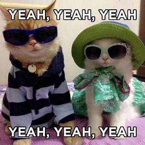 15K views · 1.8K reactions | how to pronounce moonlight | Liam | Facebook