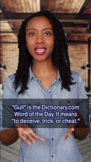Word of the Day: gull