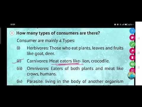 How many types of consumers are there?