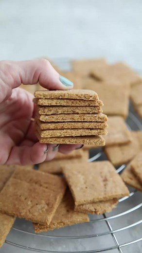 Homemade sugar free graham crackers are the perfect keto snack. They’re easy to make and have just 2.7g net carbs per serving. See the full recipe here: https://alldayidreamaboutfood.com/keto-sugar-free-graham-crackers/ #ketosnacks #ketobaking #healthyrecipes #sugarfree | All Day I Dream About Food