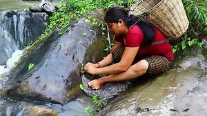 Primitive In forest one - woman Find the eclipse - woman Catch the big crocodiles | Galvin Planet